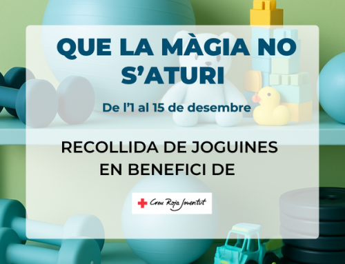 Recollida de Joguines 2025